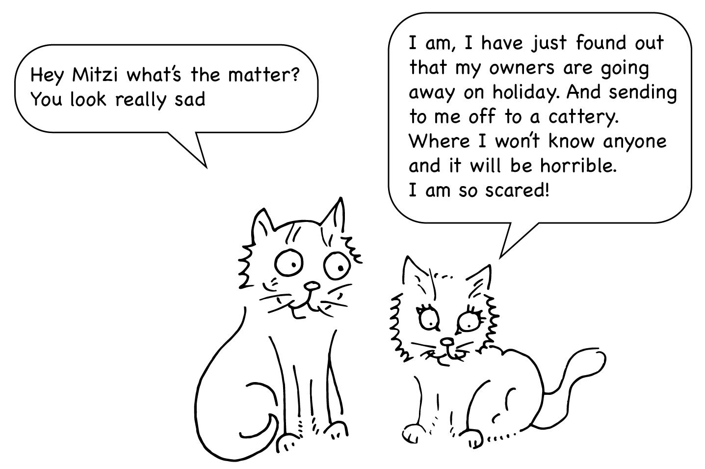 Paws for Thought Cattery, what to expext