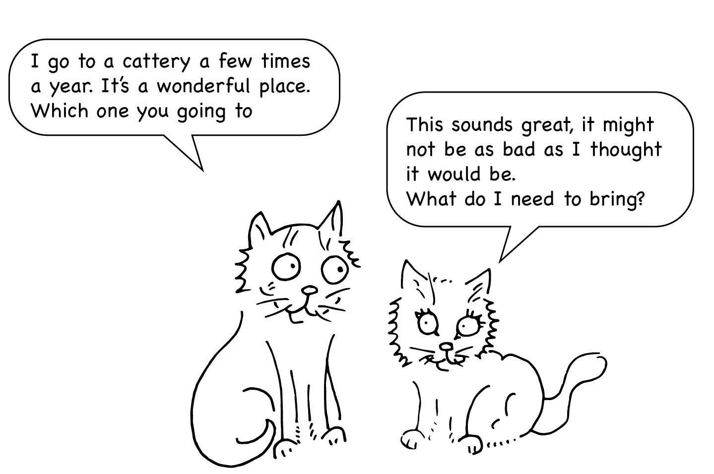 Paws for Thought Cattery, what to expect